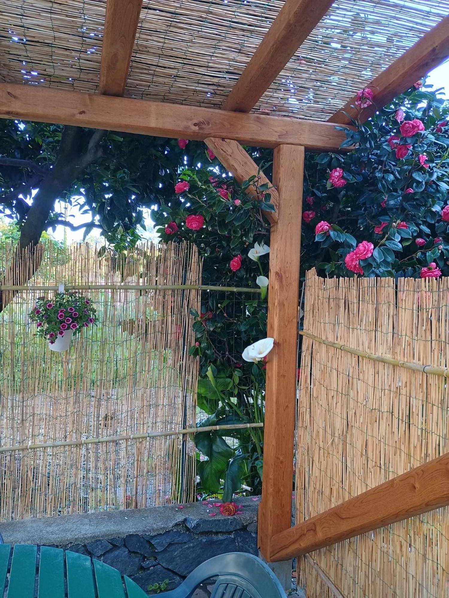 Vila La Casa Dei Due Aranci Albisola Superiore Exteriér fotografie